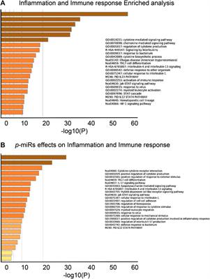 Plant microRNAs from Moringa oleifera Regulate Immune Response and HIV Infection